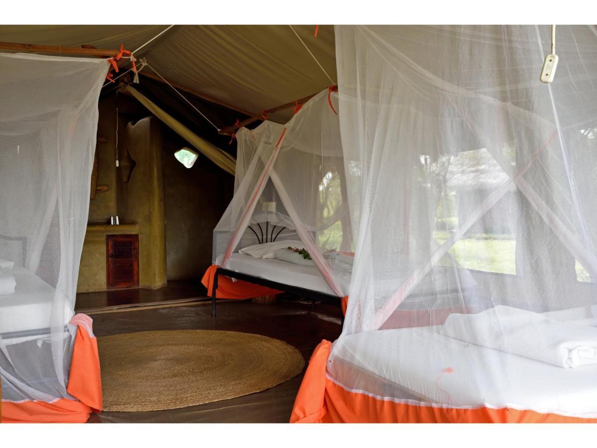 Ikoma Bush Camp Robanda Dış mekan fotoğraf